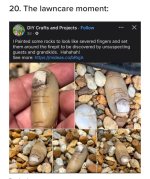 IMG_3847.jpeg