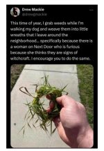 IMG_3846.jpeg
