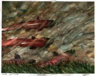 IMG_7865.jpeg