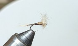 PXL_20260214_004039363.jpg
