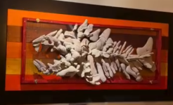 1771034718684.png 1771034718684.png
