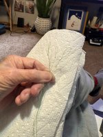 IMG_2860.jpeg