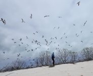 eric with birds.JPG