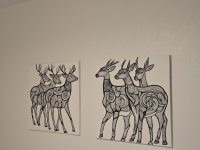 20251122_201319.jpg 20251122_201319.jpg