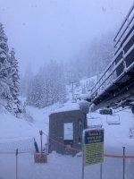 IMG_8135.jpeg