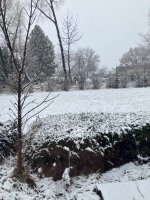 IMG_1803.jpeg