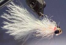 IMG_8624.jpeg IMG_8624.jpeg