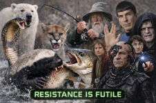 file_0000000046d871f8a37aa9da639a5a34.png