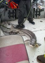 IMG_6012.jpeg