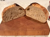 IMG_2357.jpeg