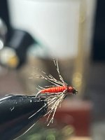 IMG_2769.jpeg
