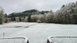 20260219_082131.jpg