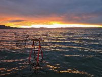 Day5-01 Sunrise.jpg