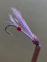 IMG_2170.jpeg