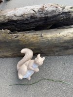 IMG_8812.jpeg