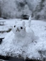IMG_6059.jpeg