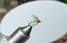 PXL_20260220_203824111.jpg