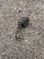 IMG_5610.jpeg IMG_5610.jpeg