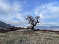 IMG_5603.jpeg