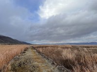 IMG_5619.jpeg