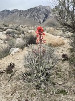 IMG_5608.jpeg