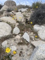 IMG_5609.jpeg