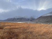 IMG_5618.jpeg