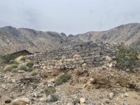 IMG_5474.jpeg
