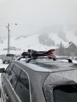 IMG_5495.jpeg
