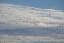 DSC00947.JPG