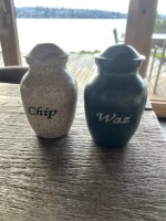 IMG_7768.jpeg IMG_7768.jpeg