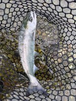 IMG_7819.jpeg