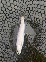 IMG_7945.jpeg
