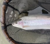 IMG_7066.jpeg