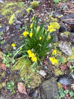 IMG_2506.jpeg IMG_2506.jpeg