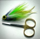 IMG_2500.jpeg