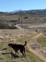 IMG_3877.jpeg
