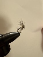 IMG_3620.jpeg