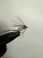 IMG_3619.jpeg