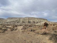 IMG_1431.jpeg