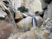IMG_1390.jpeg