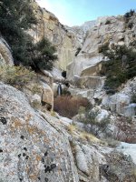 IMG_1397.jpeg
