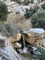 IMG_1387.jpeg