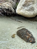 IMG_1405.jpeg