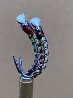 IMG_2218.jpeg