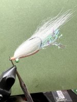 IMG_7785.jpeg