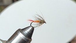 PXL_20260224_214032712.jpg
