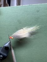 IMG_7792.jpeg