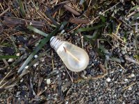 IMG_5800.jpeg