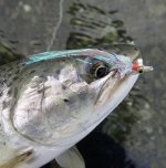 IMG_5825.jpeg